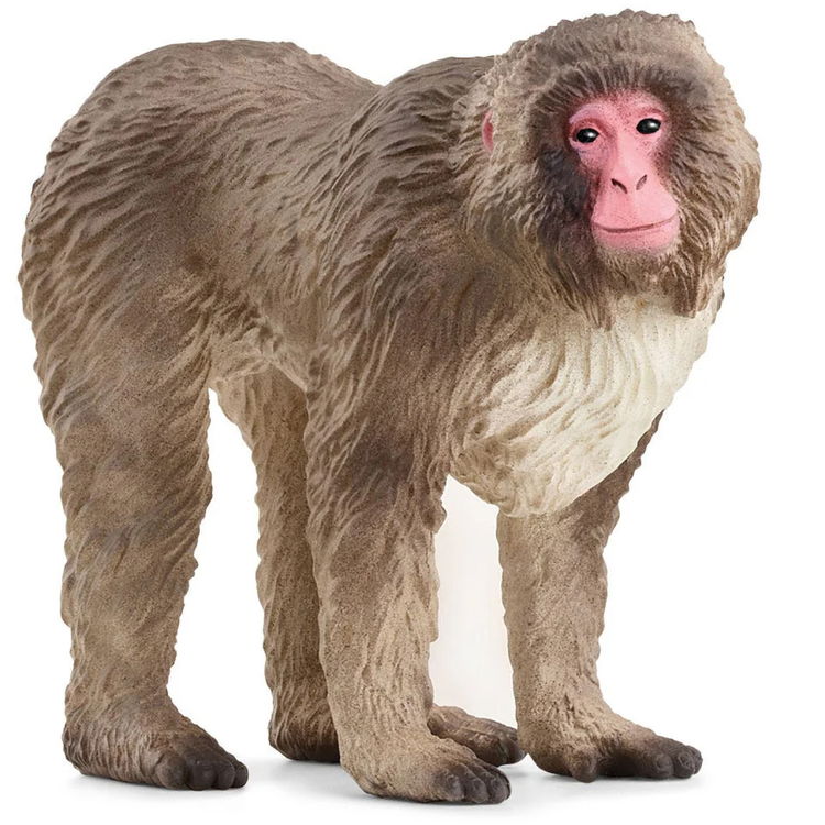 Фигурка Японски макак, Schleich