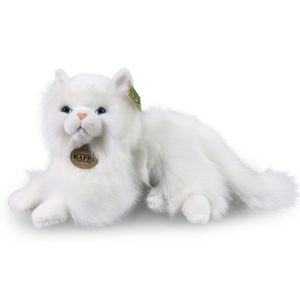 Плюшена Персийска котка Rappa