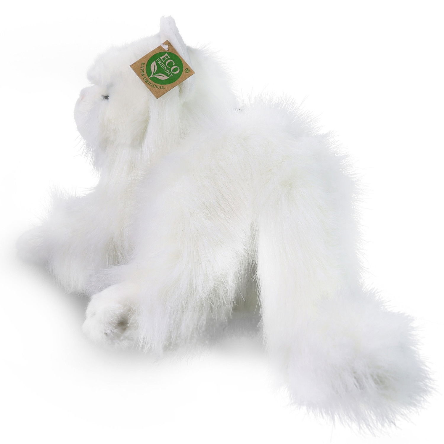 Плюшена Персийска котка Rappa