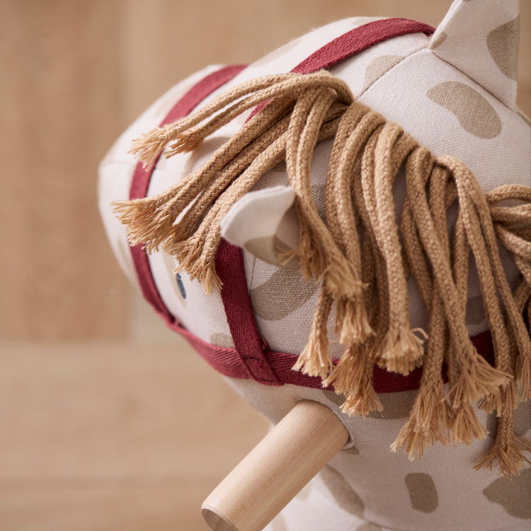 Люлеещо се конче Доти