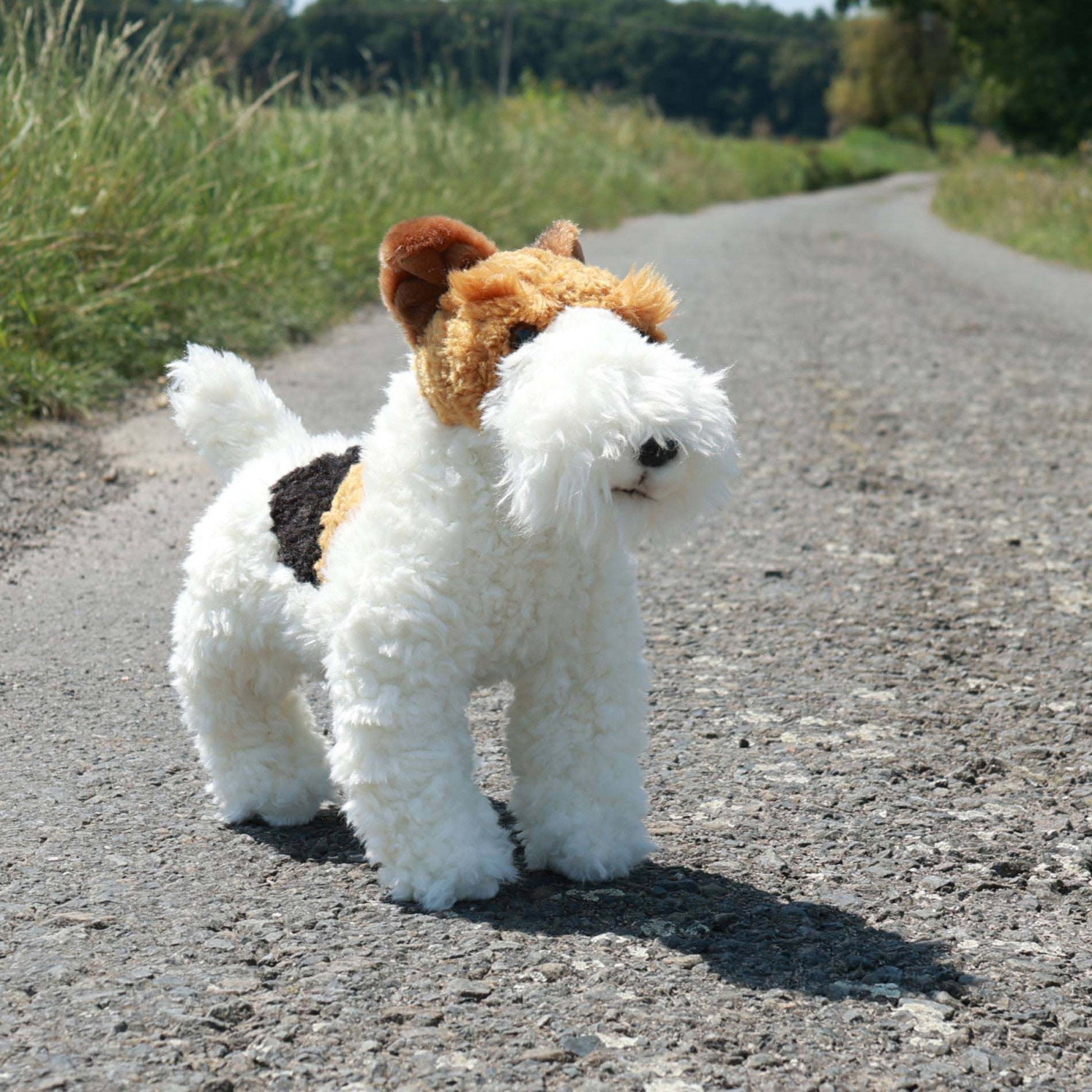 Плюшено куче Фокстериер Rappa