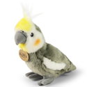 Плюшен Папагал Корела Rappa