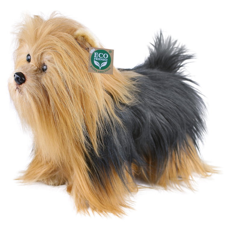 Плюшено куче Йоркширски териер Rappa