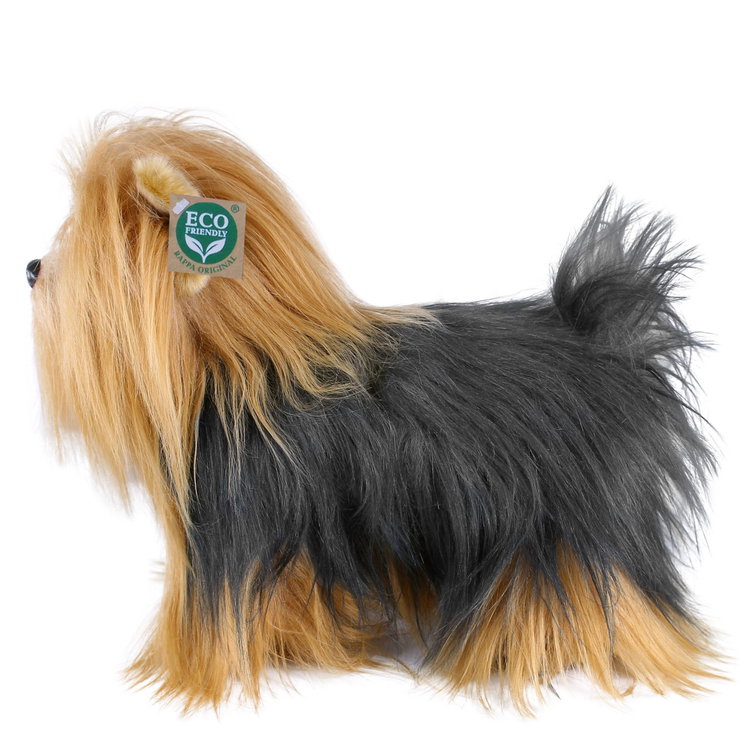 Плюшено куче Йоркширски териер Rappa