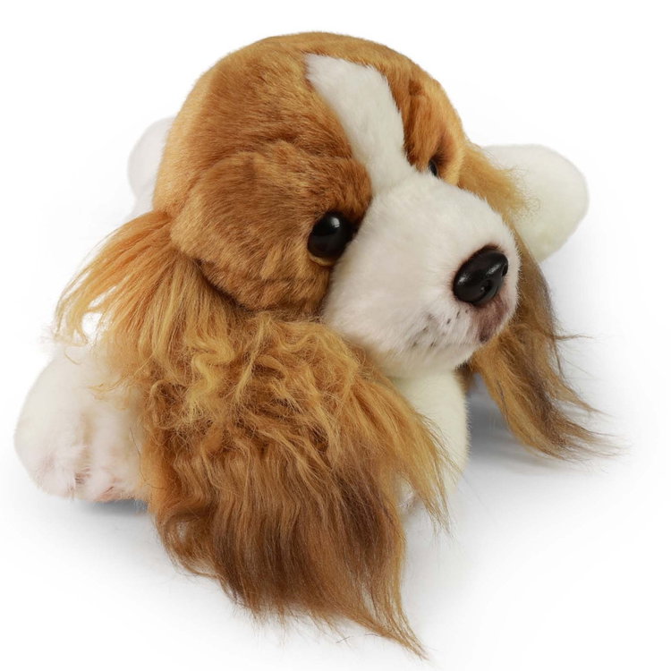 Плюшено куче Кавалер Кинг Чарлз Шпаньол Rappa