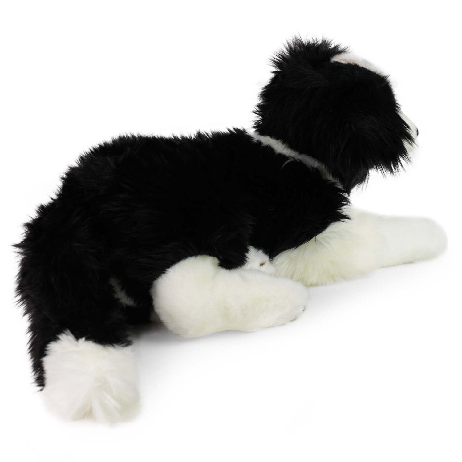 Плюшено куче Бордър Коли Rappa