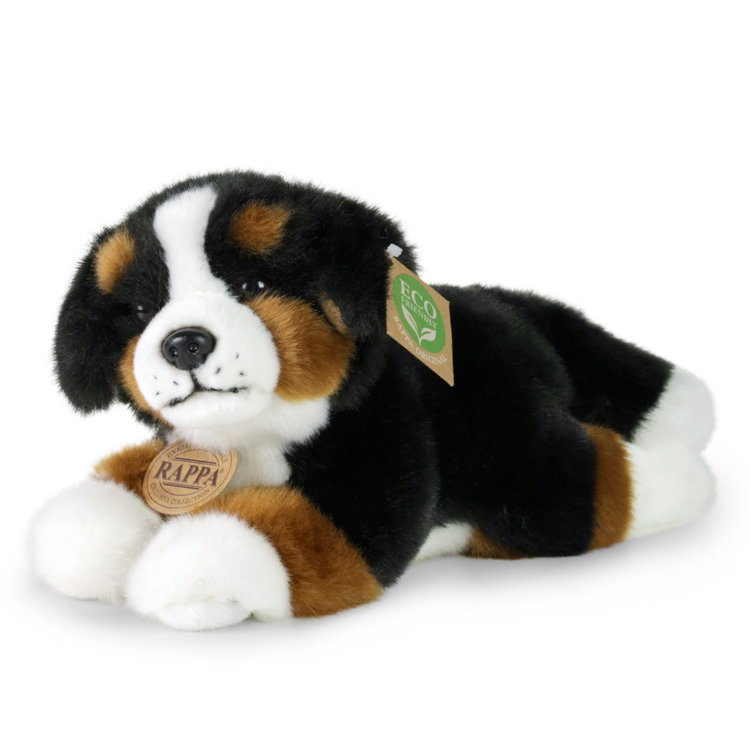 Плюшено куче бебе Бернски зененхунд Rappa