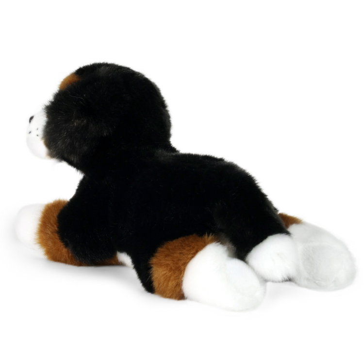 Плюшено куче бебе Бернски зененхунд Rappa