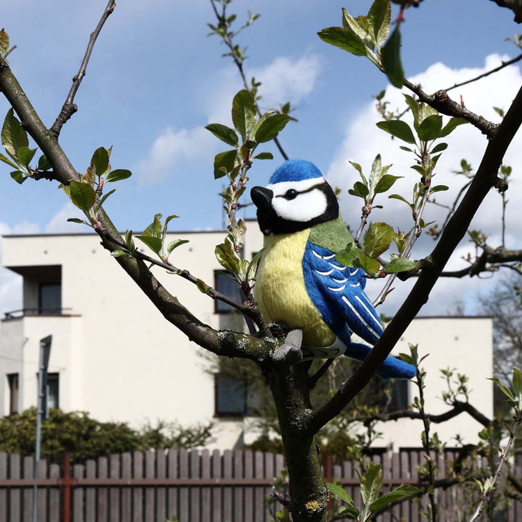 Плюшен Синигер Rappa