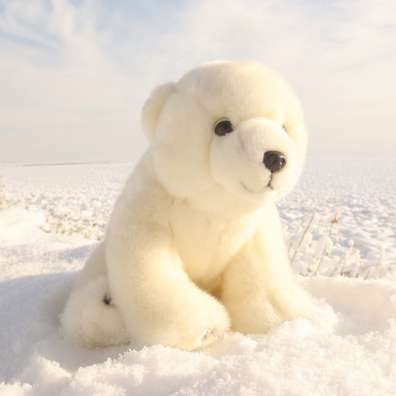 Плюшено Полярно Мече Rappa