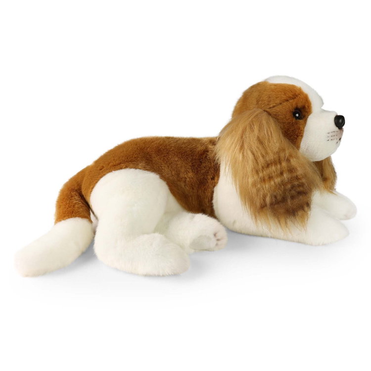 Плюшено куче Кавалер Кинг Чарлз Шпаньол Rappa