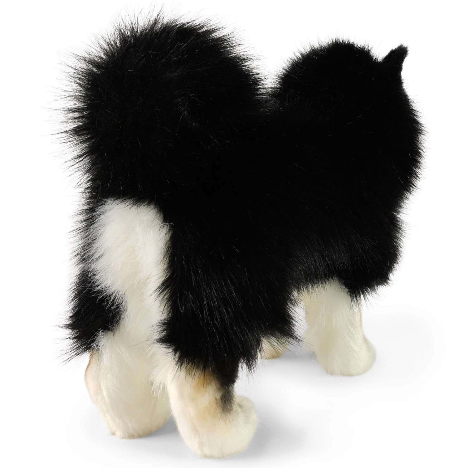 Плюшено куче Шпиц Rappa