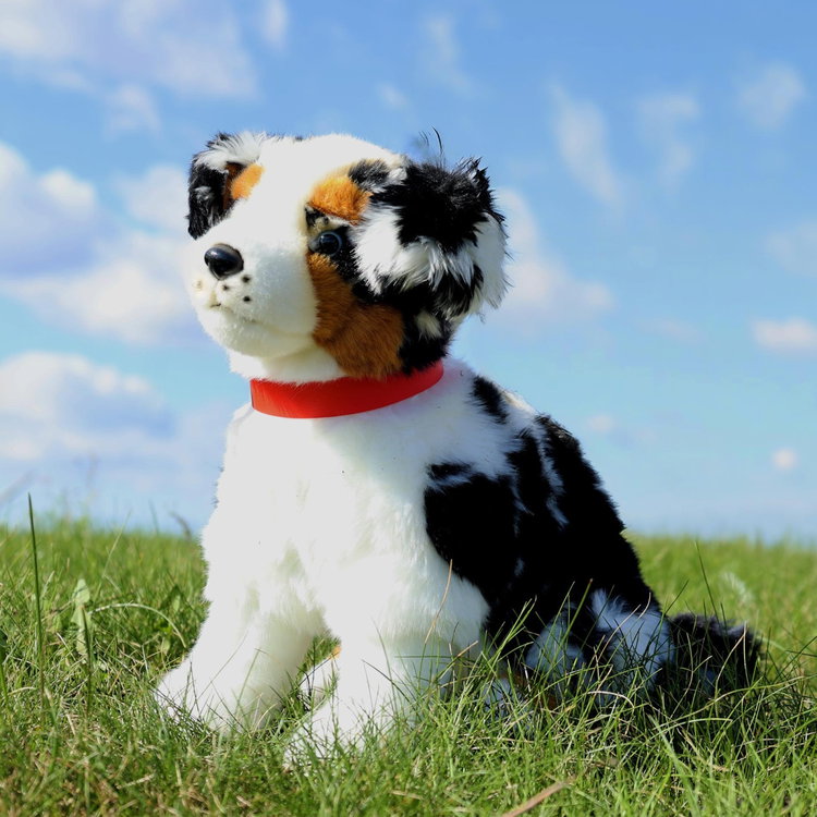 Плюшено куче бебе Австралийска овчарка Rappa