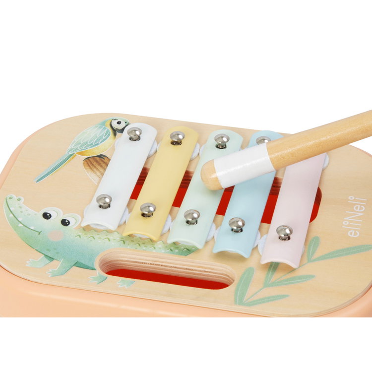 Комплект музикални инструменти в кутия