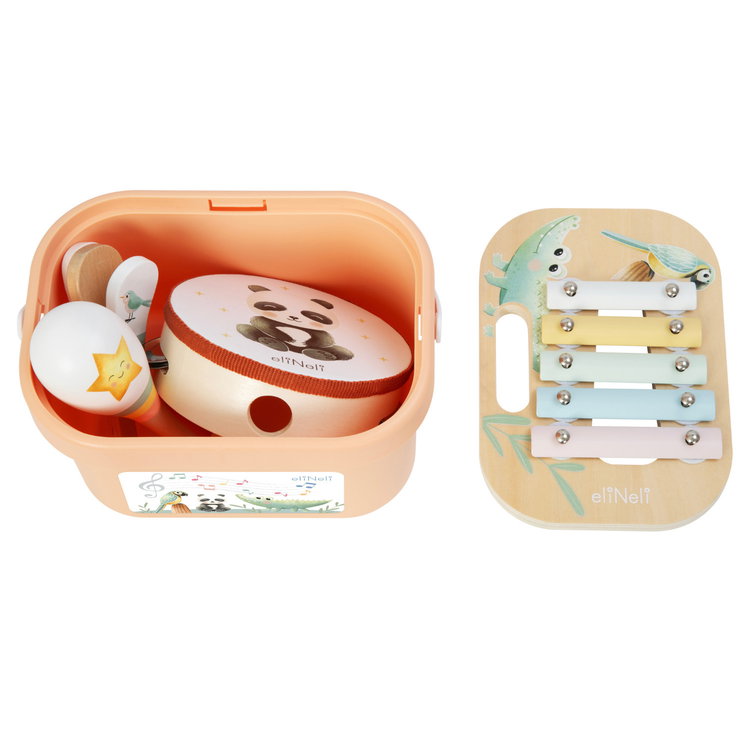 Комплект музикални инструменти в кутия