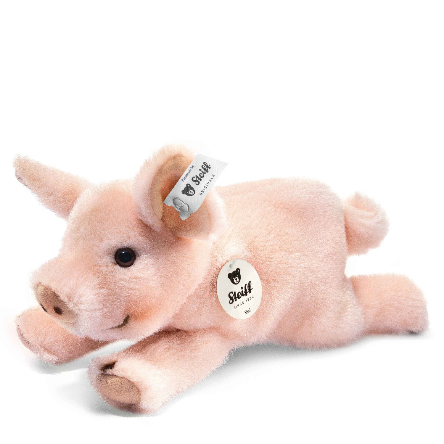 Little friend Sissi piglet