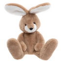 HARRY HARE