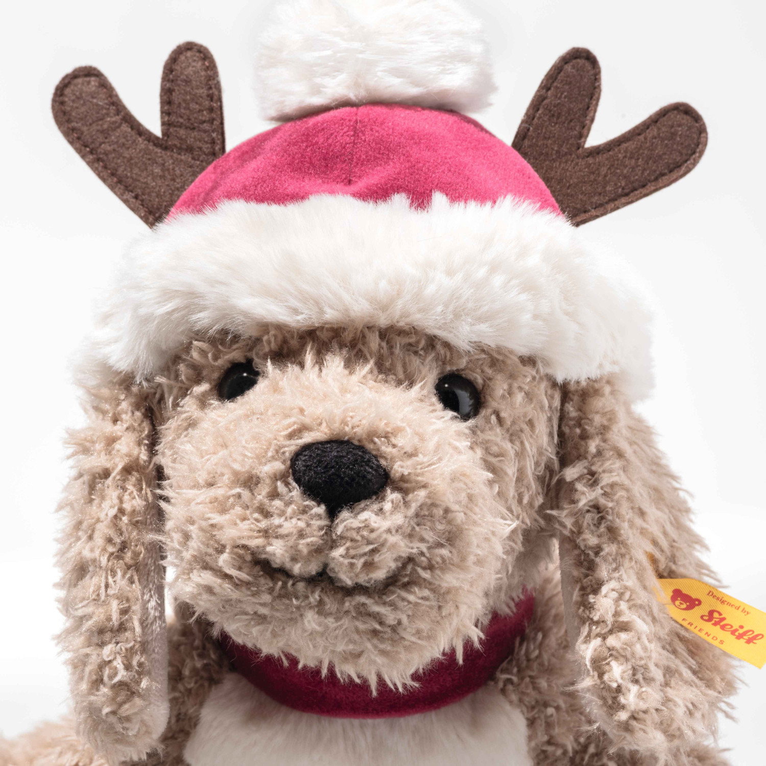 Rudy dog - Christmas