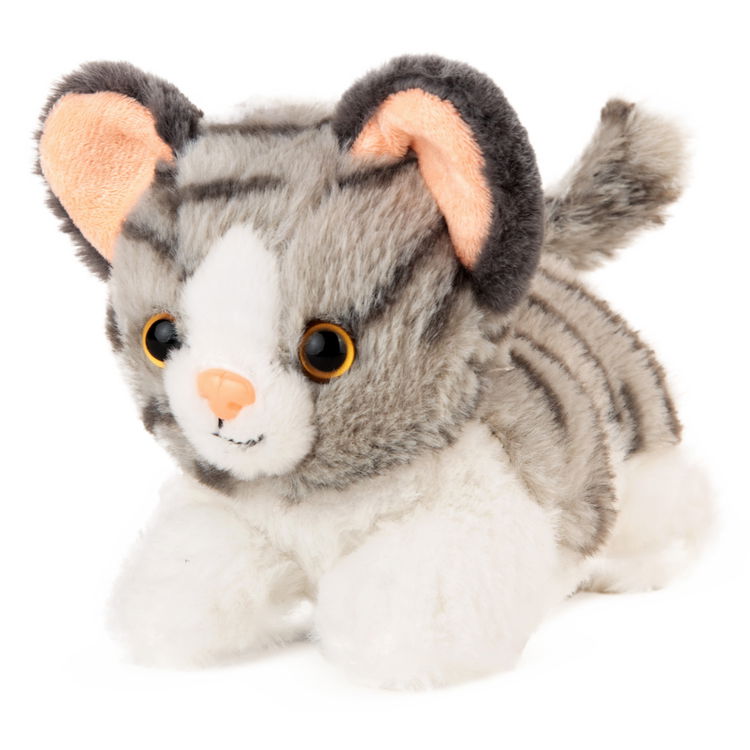 Плюшено коте