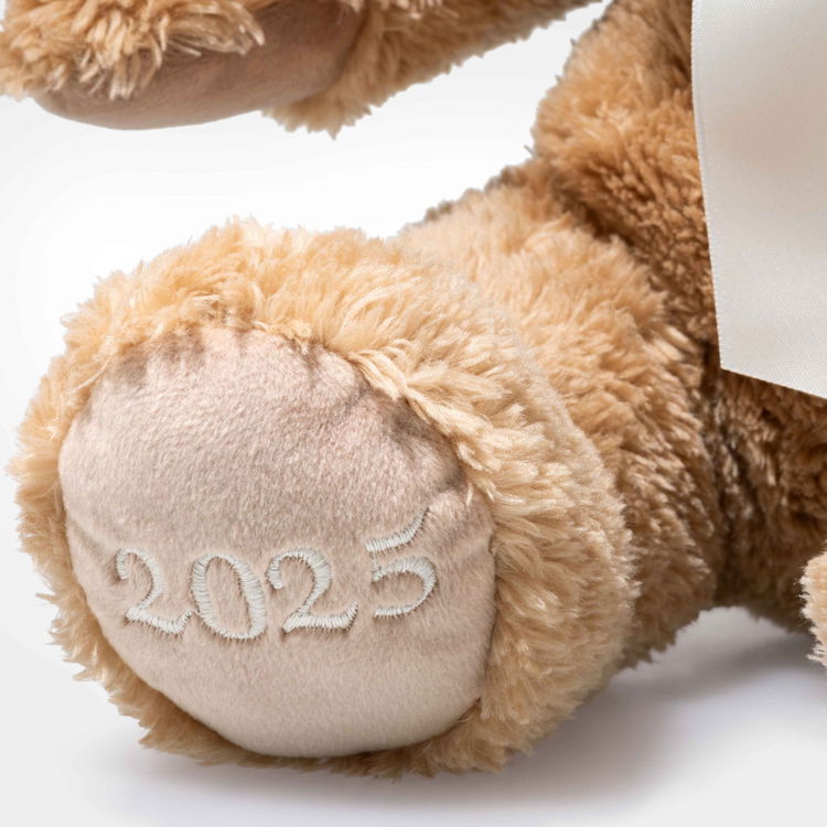 Cosy Year bear 2025