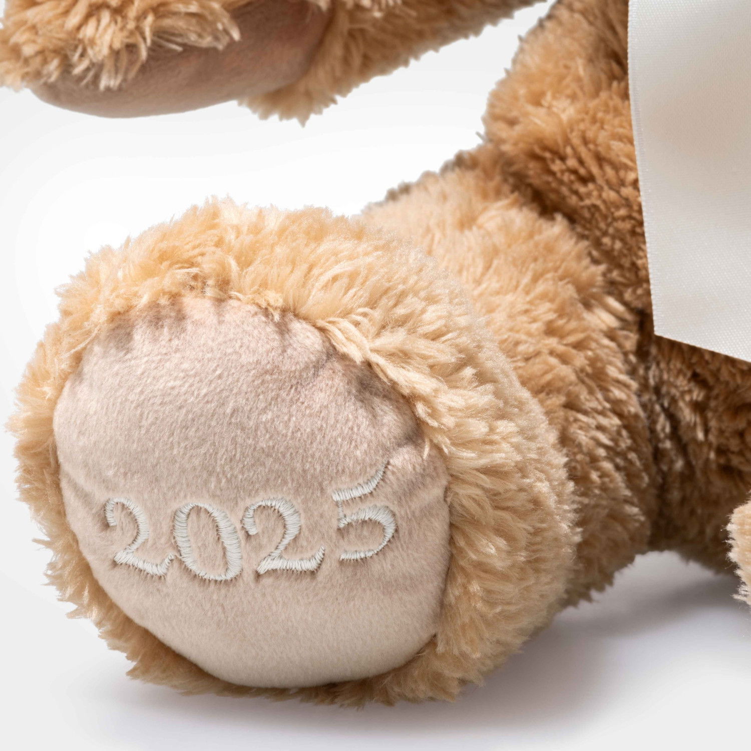 Cosy Year bear 2025