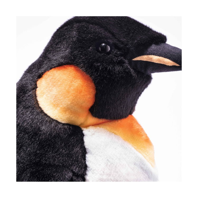 Palle king penguin
