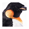 Palle king penguin
