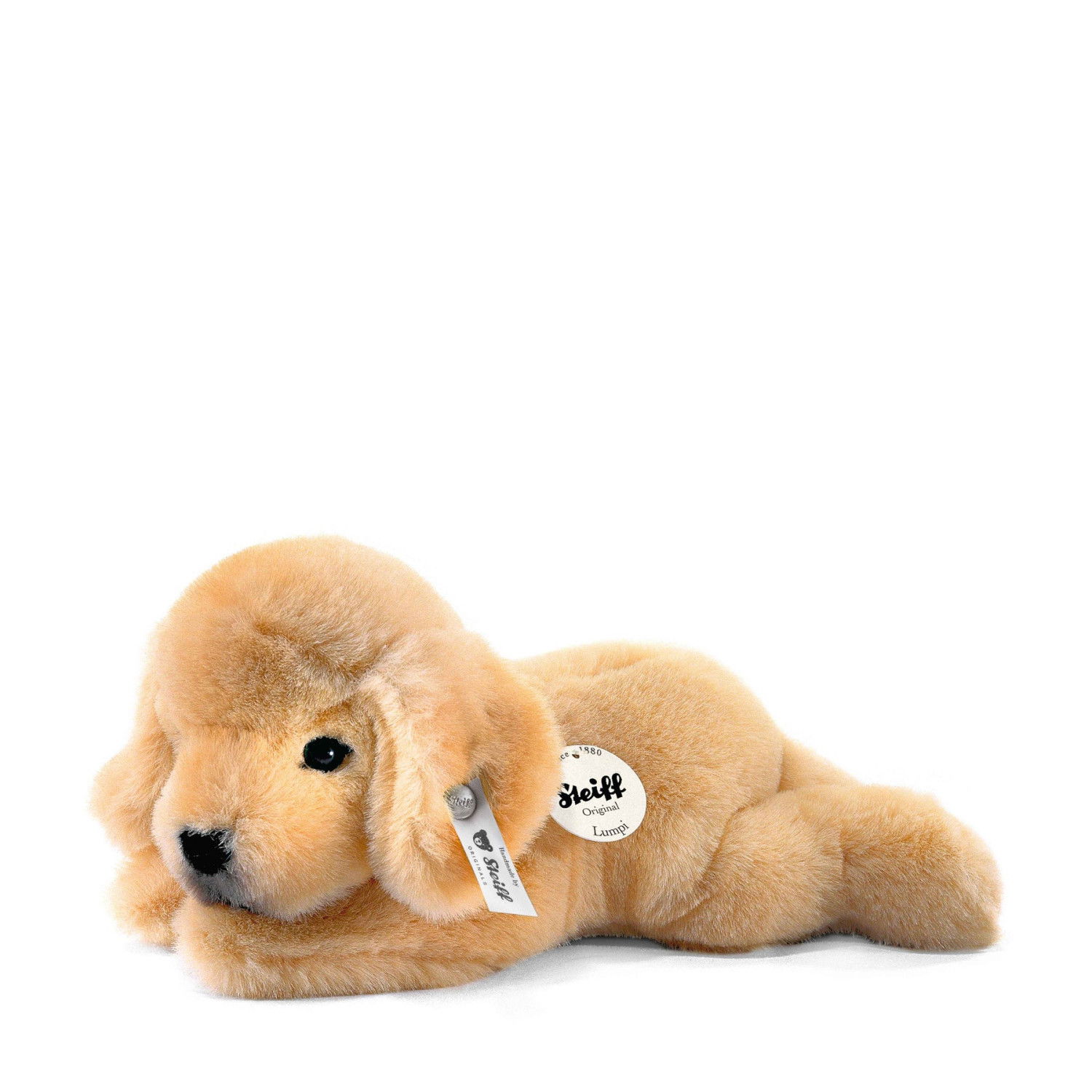 Little friend Lumpi Golden Retriever puppy