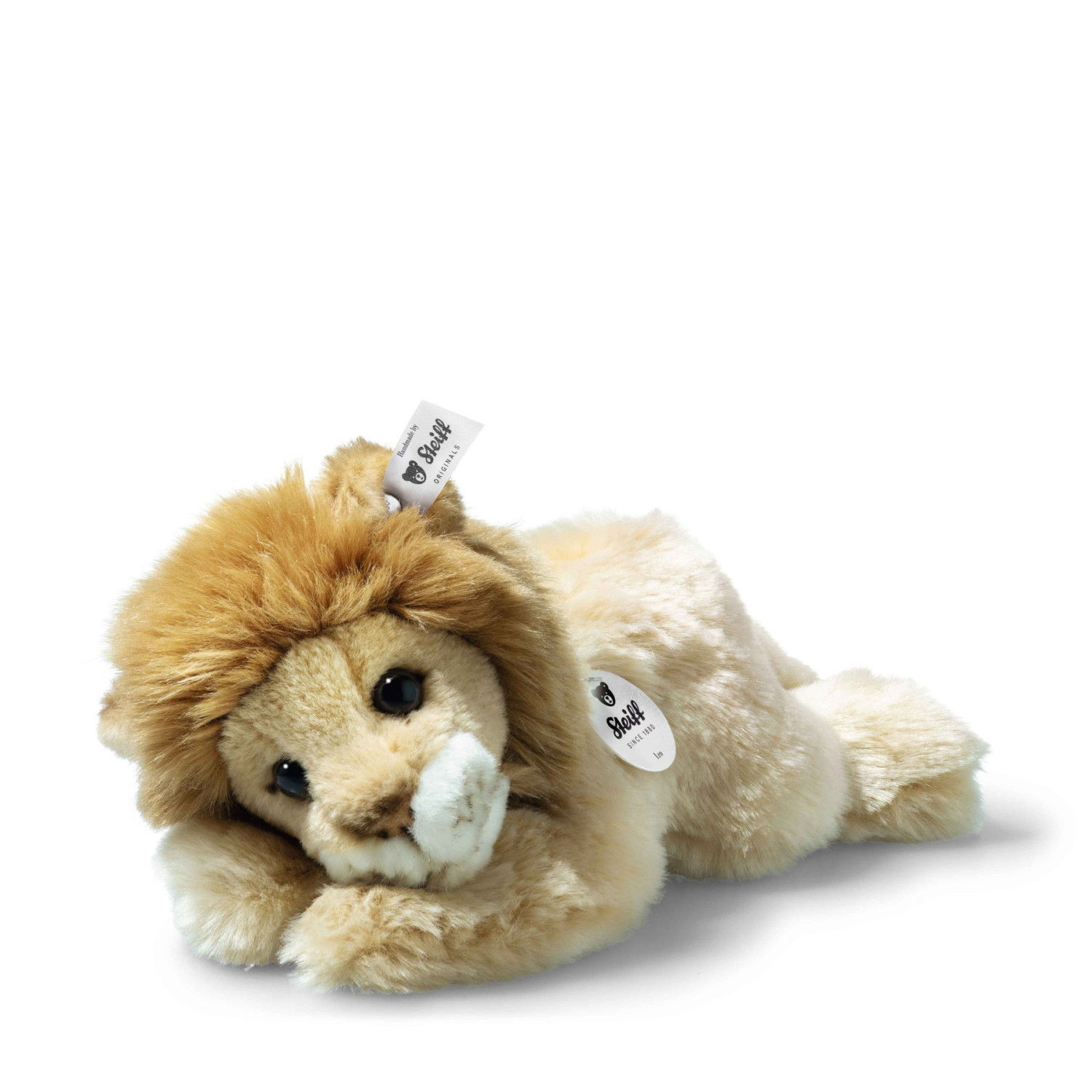 Little friend Leo lion