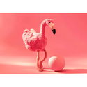 Jill flamingo pink